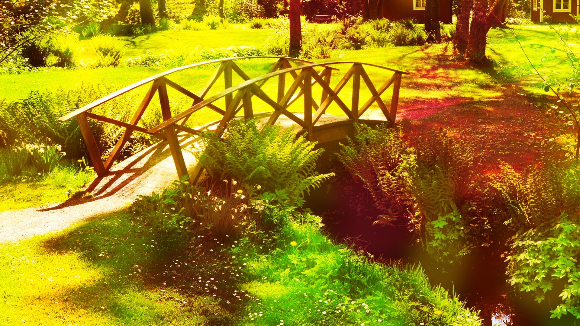 Aging with Type 1 Diabetes: When All of Life Suddenly Changes Aging with Type 1 Diabetes: When All of Life Suddenly Changes