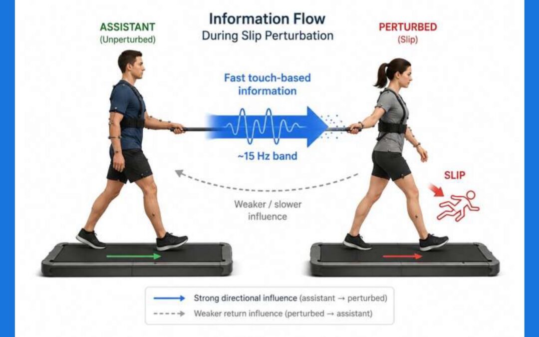 Why Just Sharing a Stick While Walking Can Significantly Improve Balance
